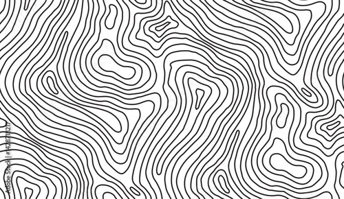 Topographic maze Contours dance revealing a hidden landscape