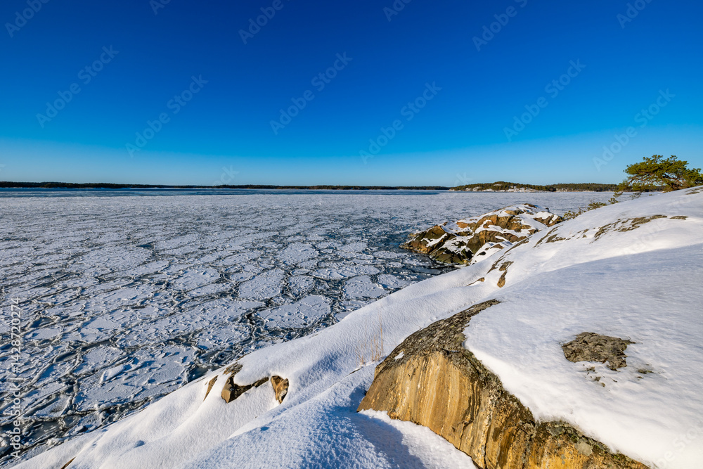 winter landscape with snow