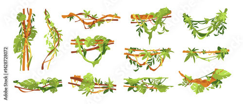 Liana branch. Jungle vine plant with ivy leaves, tropical forest vines plants, exotic jungles hanging branch, botanical decorative twisted lianas creeper elements. Vector liana set