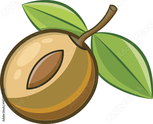 A vibrant vector art illustration of a delicious sapodilla fruit, showcasing its rich texture, juicy interior, and tropical appeal