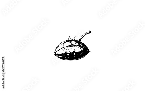 Araruta Fruit – AI-Styled Long Capsule with Rugged Natural Surface