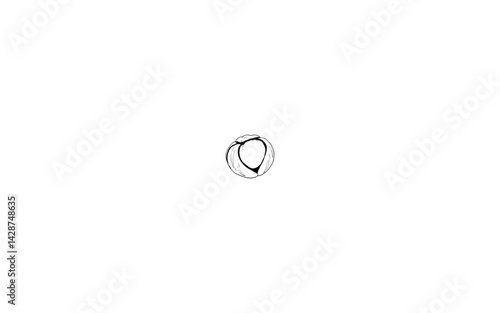 Ashwagandha Fruit – AI-Rendered Berry in Delicate Papery Enclosure