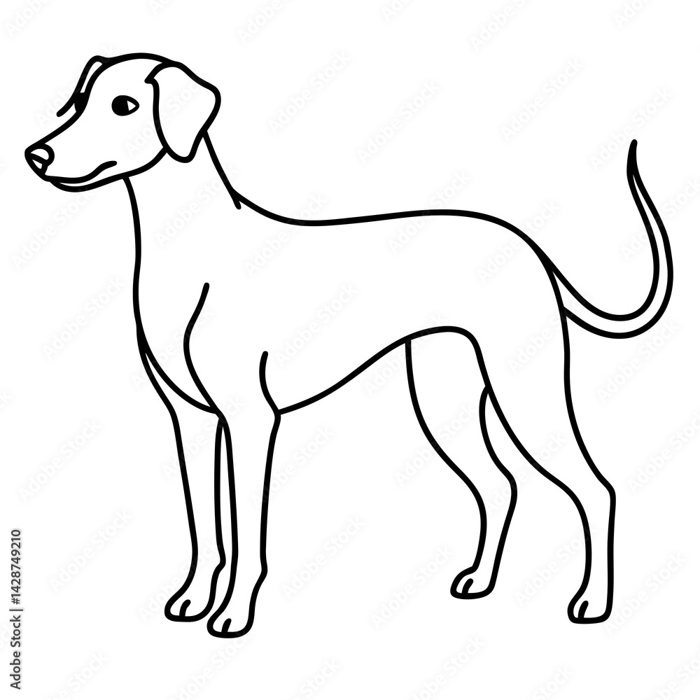 Fototapeta premium Elegant Dog Outline Illustration