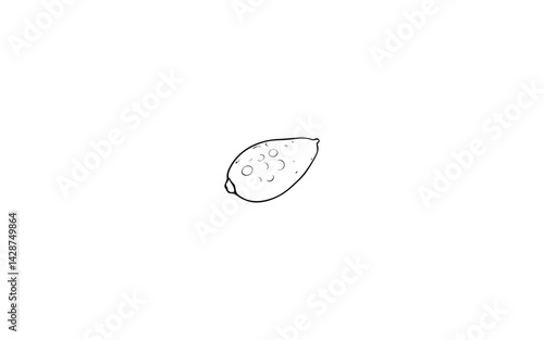 Australian Finger Lime – AI-Stylized Illustration of Bumpy Cylindrical Citrus with Exposed Tip