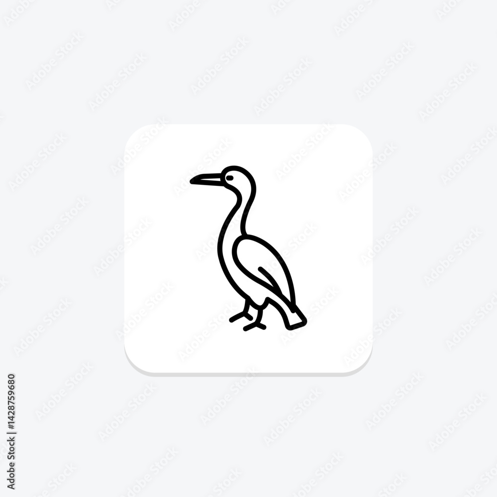 Obraz premium Cormorant, vector, pixel perfect, illustrator file
