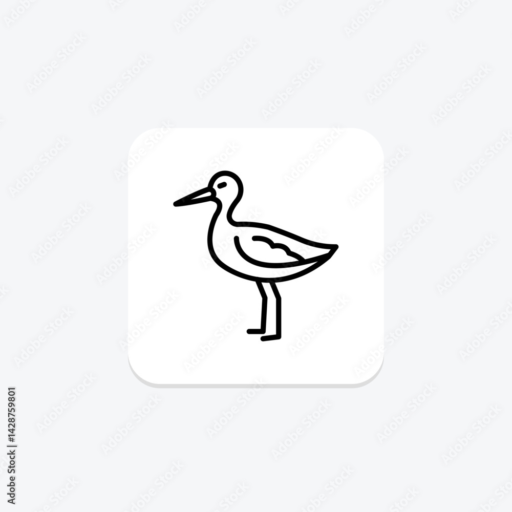 Obraz premium Avocet, vector, pixel perfect, illustrator file