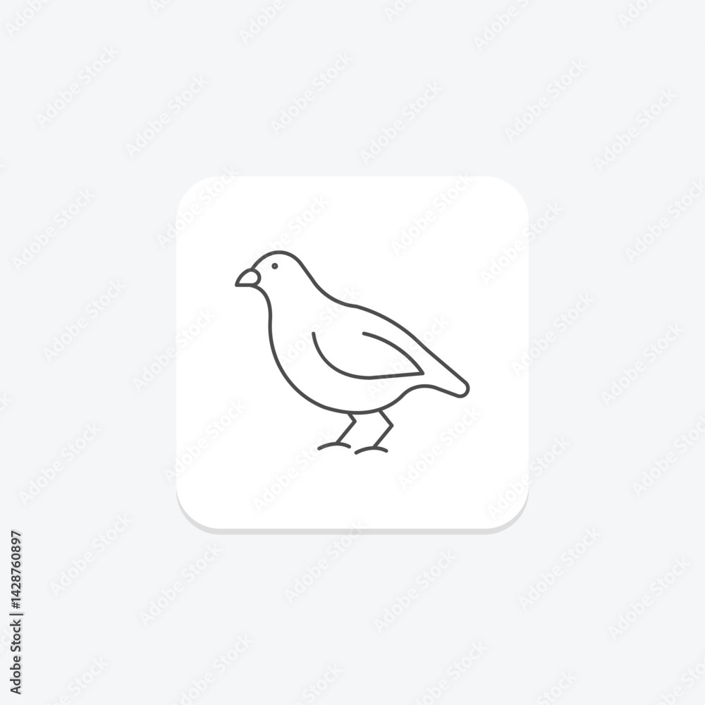 Obraz premium Quail, vector, pixel perfect, illustrator file