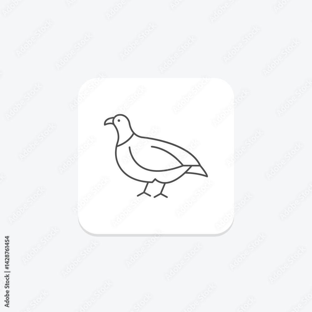 Fototapeta premium Partridge, vector, pixel perfect, illustrator file