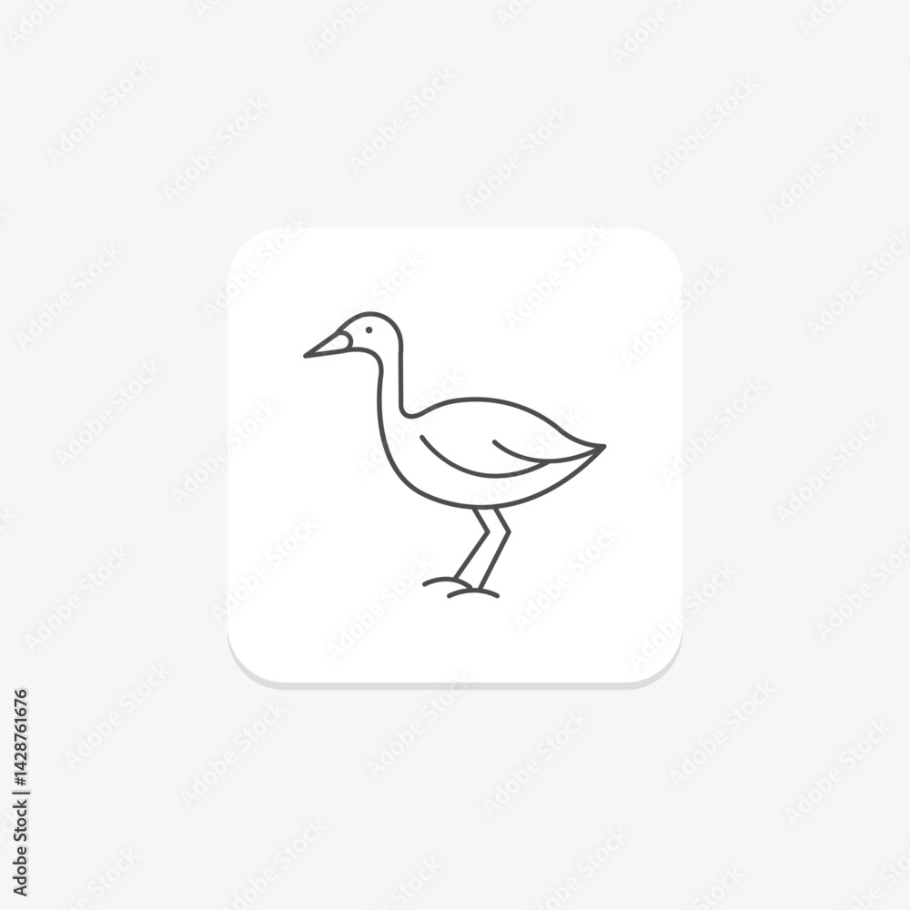 Fototapeta premium Lapwing, vector, pixel perfect, illustrator file