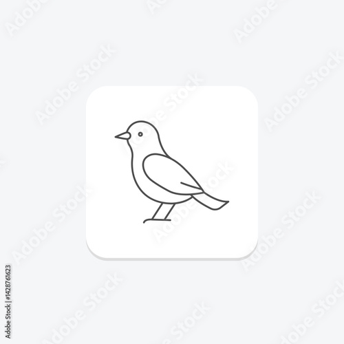 Starling, vector, pixel perfect, illustrator file