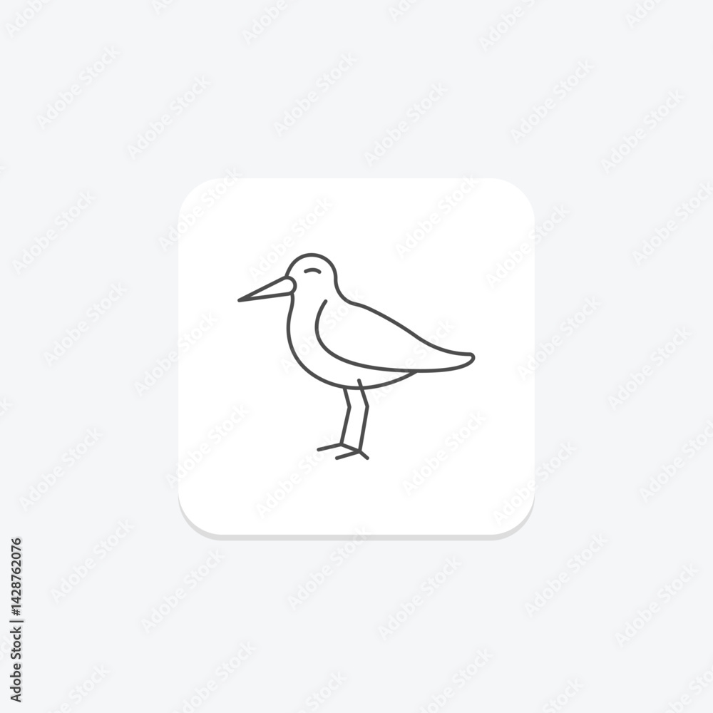 Obraz premium Oystercatcher, vector, pixel perfect, illustrator file