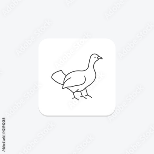 Capercaillie, vector, pixel perfect, illustrator file