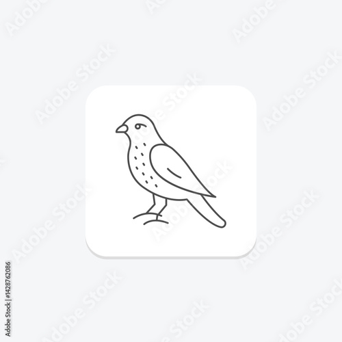 Merlin, vector, pixel perfect, illustrator file