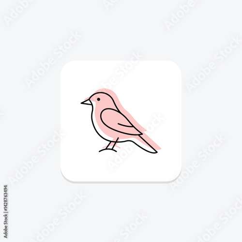Kingbird, vector, pixel perfect, illustrator file
