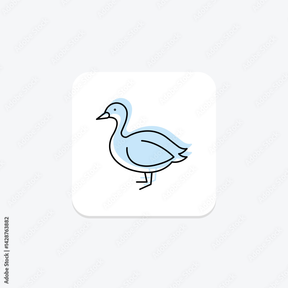 Booby, vector, pixel perfect, illustrator file Booby, vector, pixel perfect, illustrator file
