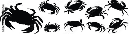 A collection of crab silhouettes displayed against a white background in various poses and orientations