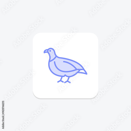 Partridge, vector, pixel perfect, illustrator file