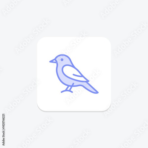 Kingbird, vector, pixel perfect, illustrator file