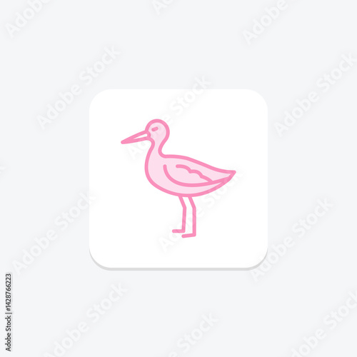 Avocet, vector, pixel perfect, illustrator file