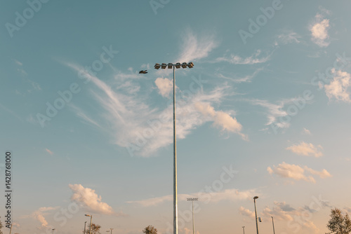 Bird fling past light tower with blue sky backgound