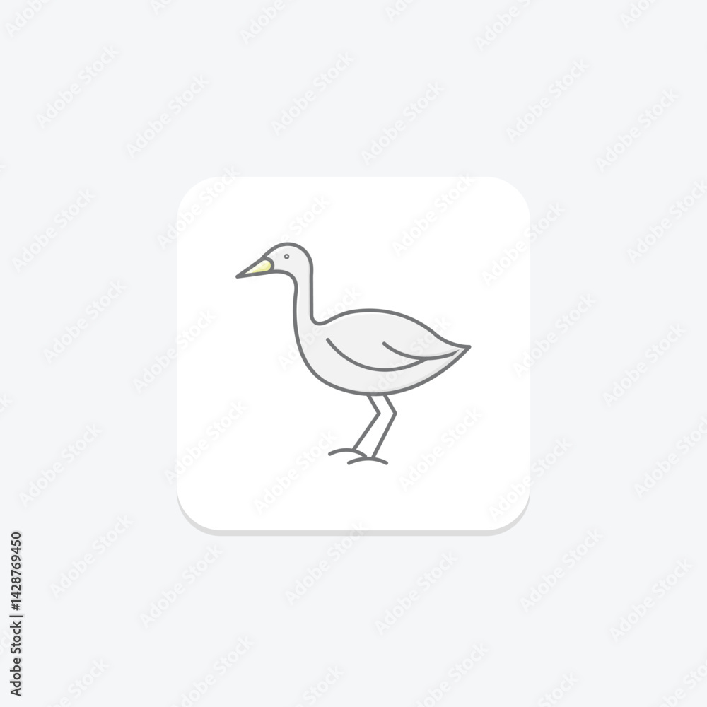 Fototapeta premium Lapwing, vector, pixel perfect, illustrator file