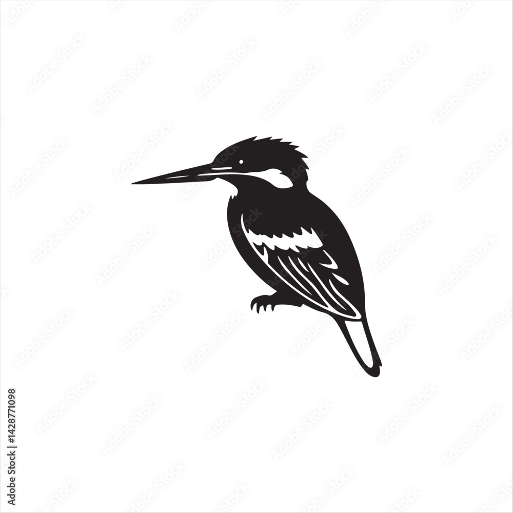 Fototapeta premium Black crowned kingfisher is a black and white avian animal with a strong beak, often found in wild nature