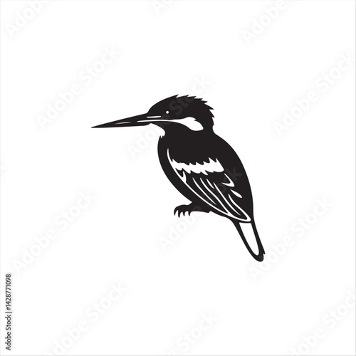 Black crowned kingfisher is a black and white avian animal with a strong beak, often found in wild nature