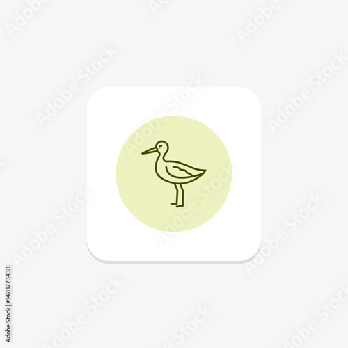 Avocet, vector, pixel perfect, illustrator file
