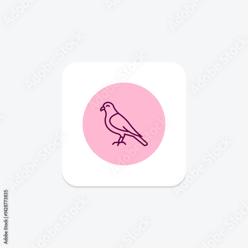 Kestrel, vector, pixel perfect, illustrator file