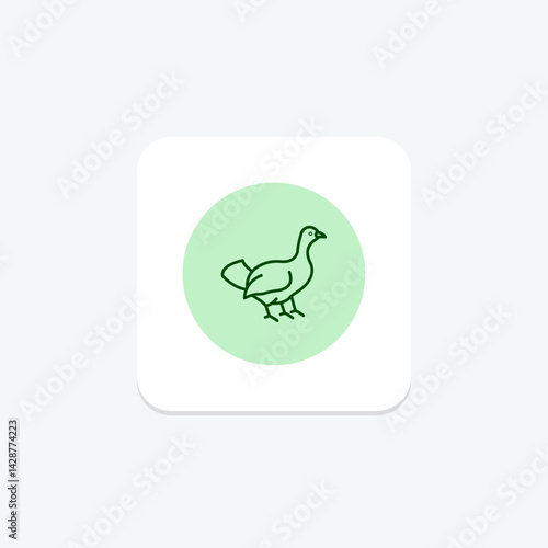Capercaillie, vector, pixel perfect, illustrator file