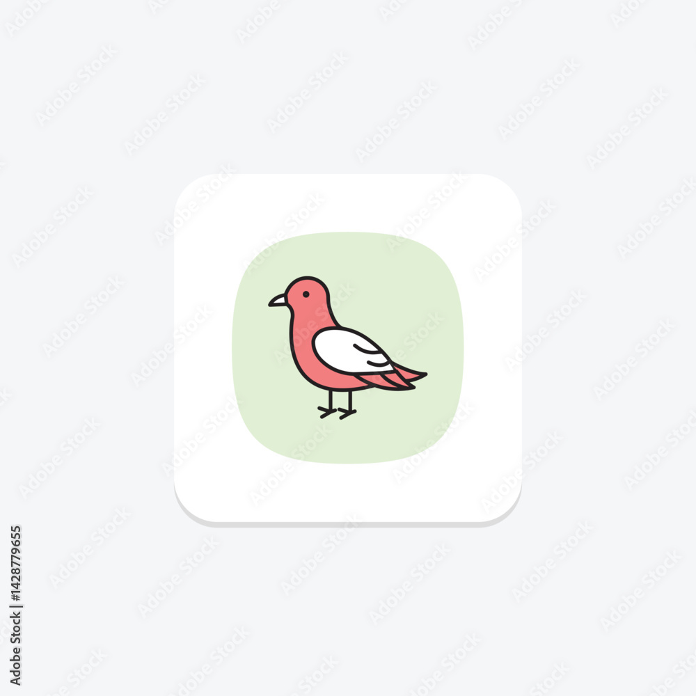 Fototapeta premium Kittiwake, vector, pixel perfect, illustrator file