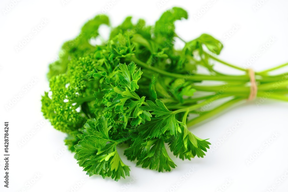 Bunch of fresh parsley on white background