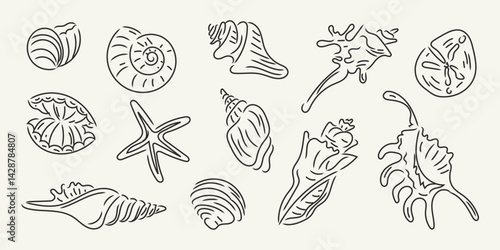 Hand drawn minimalist seashell and starfish doodle set. Coastal ocean elements. Perfect for summer, beach, and nautical designs, prints, postcards, invitations. Italian ink sketch dolce vita