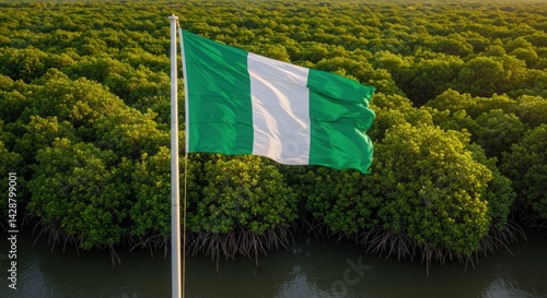 Nigeria Flag Niger Delta Mangrove Forest Landscape Background