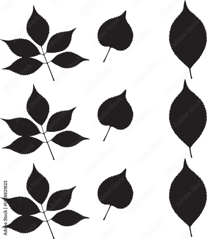 Fototapeta premium Silhouette leaf vector , illustration, art, design in white background. 