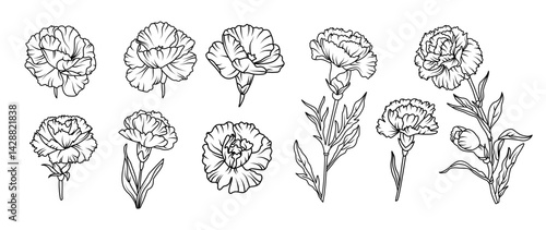 Set of hand drawn carnation flower illustration set in black and white line art style. Vector botanical drawing for tattoo, packaging, card design, and floral decor