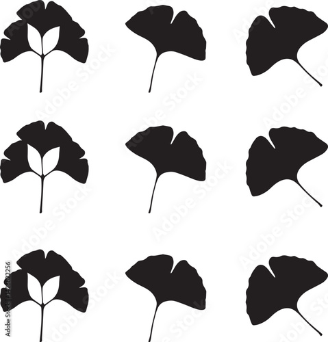 Silhouette leaf of a vector illustration on white background. 
