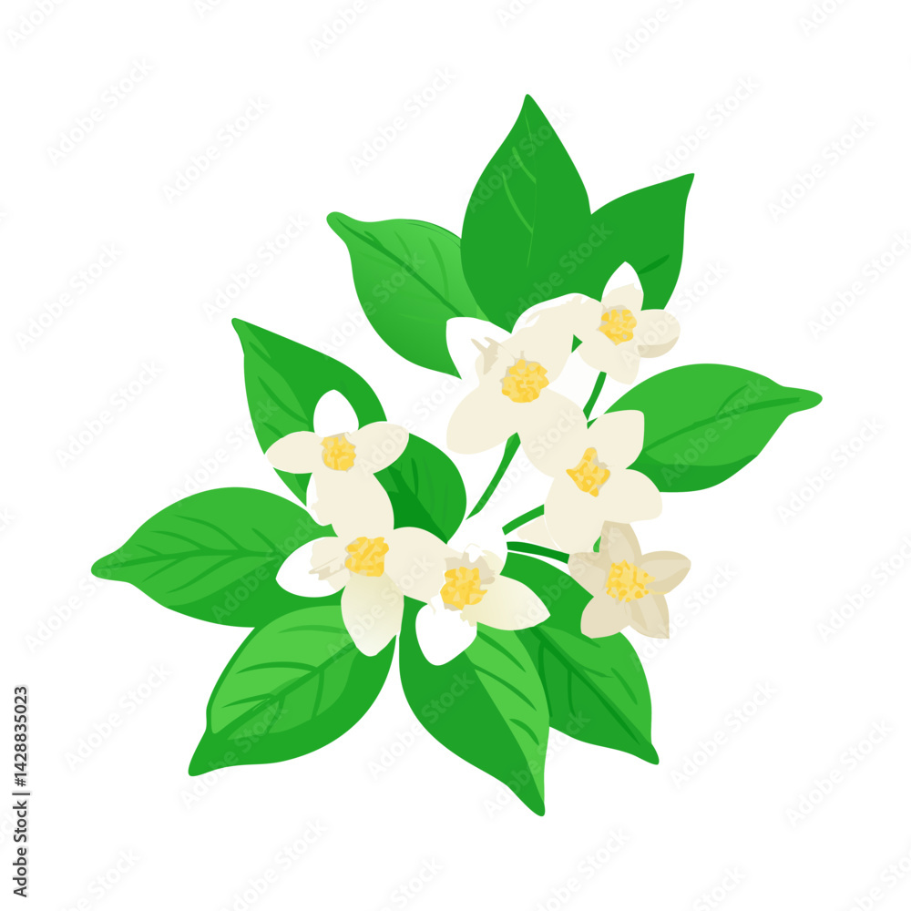 Fototapeta premium Fresh Lemon Blossom with Leaves Vector