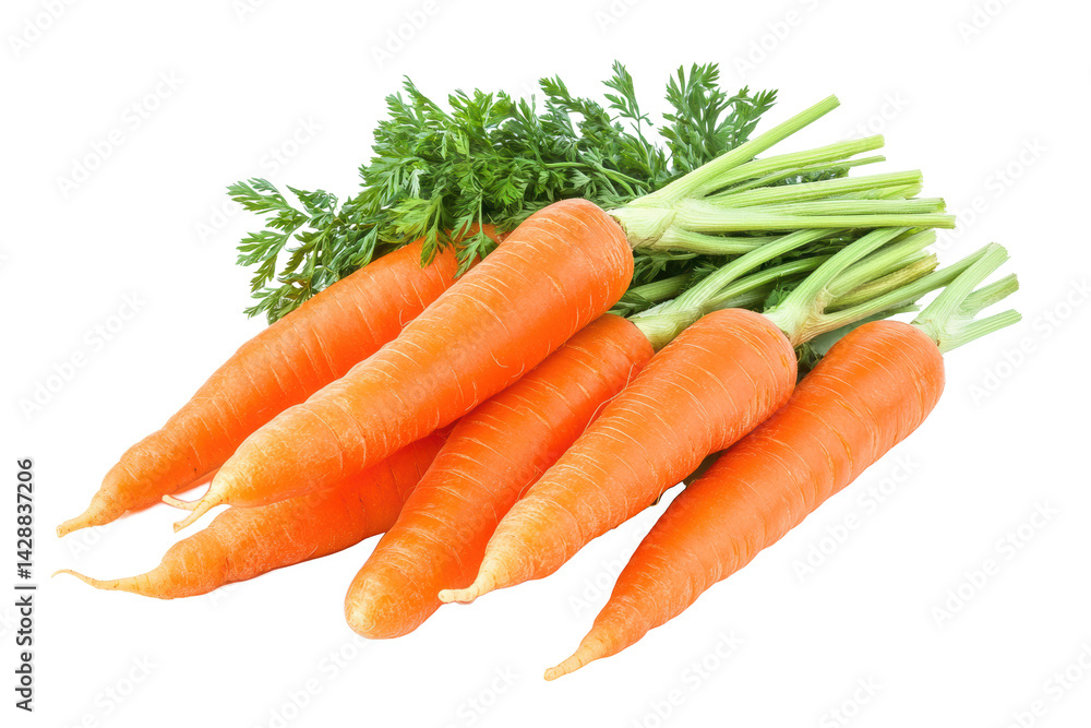 Fresh carrots with green tops healthy root vegetable food concept on transparent background Fresh carrots with green tops healthy root vegetable food concept on transparent background