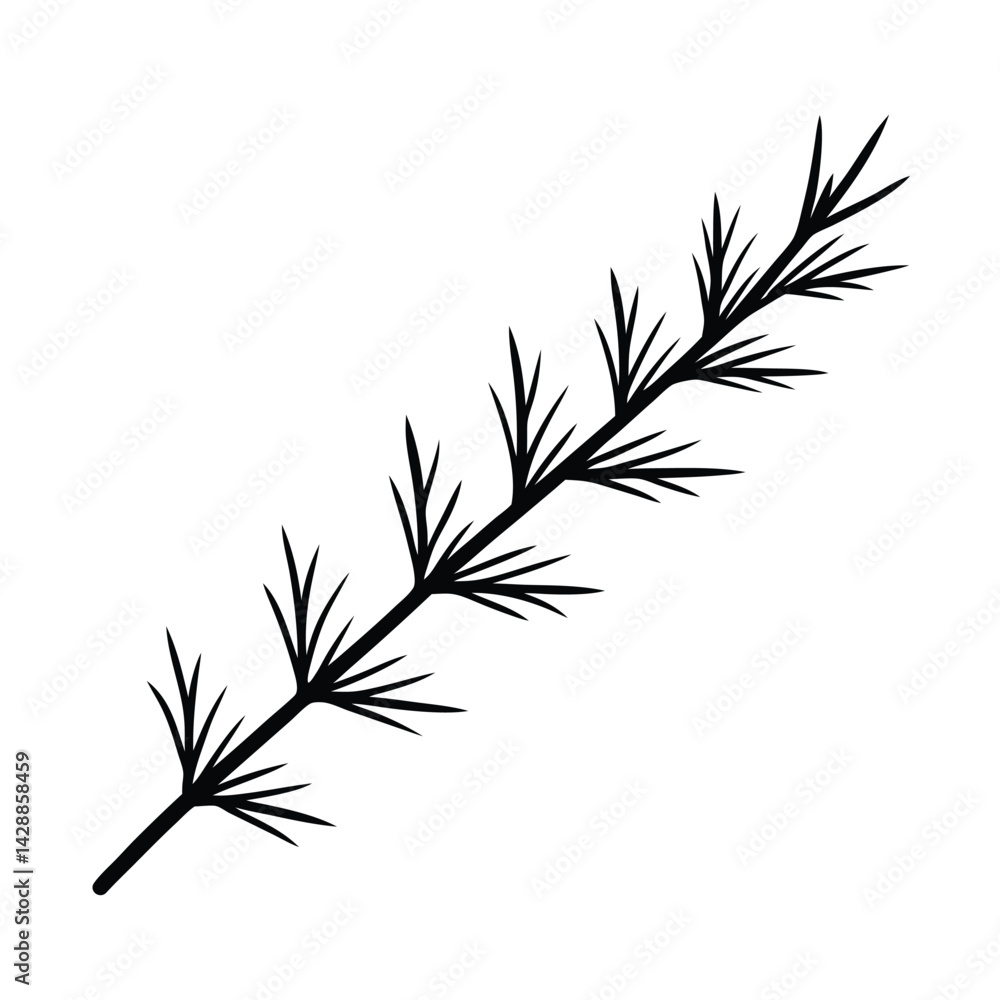 Fototapeta premium feather isolated on white background