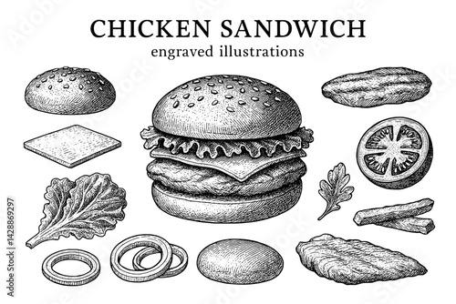 Detailed engraving of a chicken sandwich with various ingredients artistically arranged on a textured background