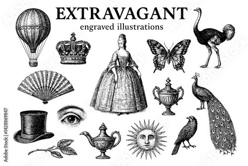 Engraved illustrations showcasing a collection of extravagant vintage motifs and symbols from nature and fashion