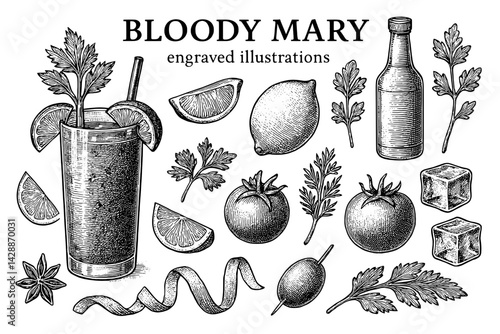 Engraved illustrations of ingredients and elements for crafting the perfect Bloody Mary cocktail