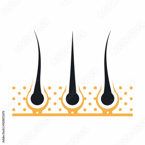 Simple Hair Growth Vector art Graphic Illustration.