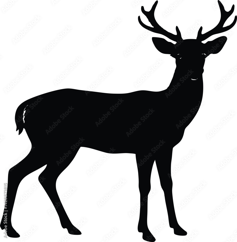 Obraz premium Deer Looking Alert Silhouette