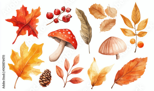 Autumn Elements Watercolor Vector Frame with Leaves, Mushrooms, and Berries