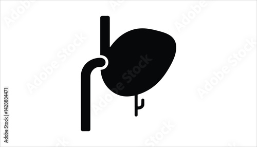Human bladder icon vector black medical anatomy organ illustration