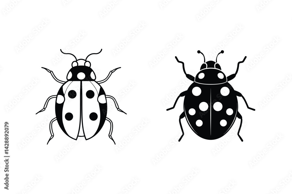 Ladybug Vector Illustration Two Beetle Species Graphic Design Elements Line Art Ladybug Vector Illustration Two Beetle Species Graphic Design Elements Line Art