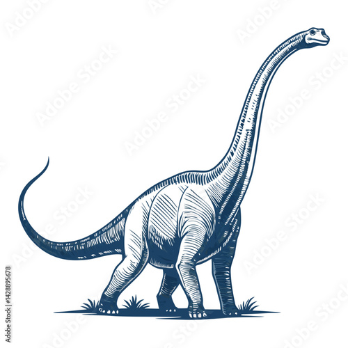 Create a bold, vector illustration of a Diplodocus dinosaur with an extra-long tail, featuring thick, black outlines.