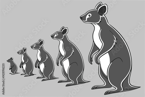 Cartoon wallabies in ascending order representing growth and development concept